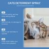Yegbong Spray Repellente Premium per Gatti - Repellente Sicuro per Interni ed Esterni per la Protezione dei Mobili, Efficace Aiuto per l'Addestramento con Ingredienti Naturali