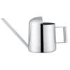 Stainless Steel Watering Can 300 Ml AIMOONSA - Long Spout for Bonsai, Houseplants and Garden
