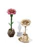 Wacocetoy Cross-Border Carnation Puzzle 3D Wooden Diy Coloring Toy 2-In-1 Set Handmade Puzzle