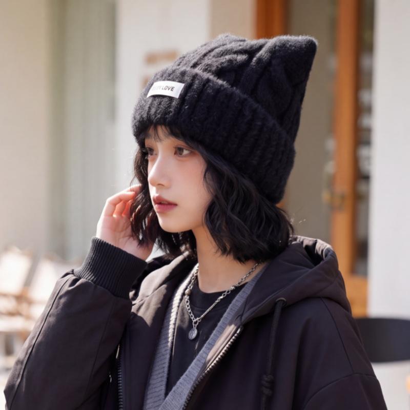 Autumn and winter new student versatile thickened warm wool hat female cute ears female plush edge pullover knitted hat