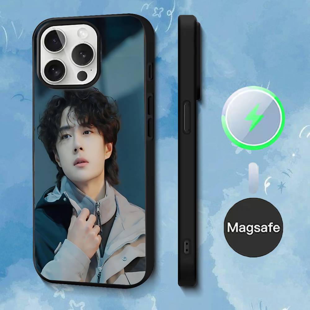 Wang Yibo The U-Untamed Phone Case For iPhone 17,16,15,14,13,12,11,Pro,Max,Plus,Mini,SE4,E Magnetic Magsafe Wireless Charging