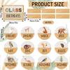 Back to School Birthday Bulletin Board Set Summer Woodland Animals Class Birthday Bulletin Board Stickers Jungle Life Month Header Decals for School