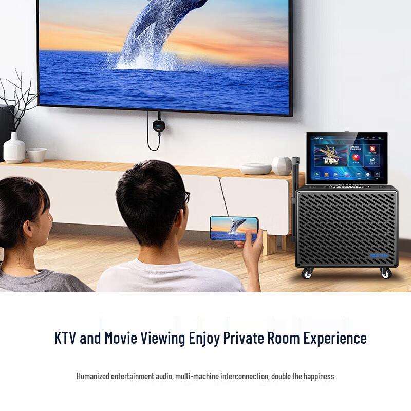 SAST Home KTV Outdoor Trolley Speaker System with Display and Subwoofer (CN version)