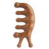 Golden Sandalwood Snail Massage Comb Set: Universal Five-Finger Comb and Portable Meridian Comb Gift Box