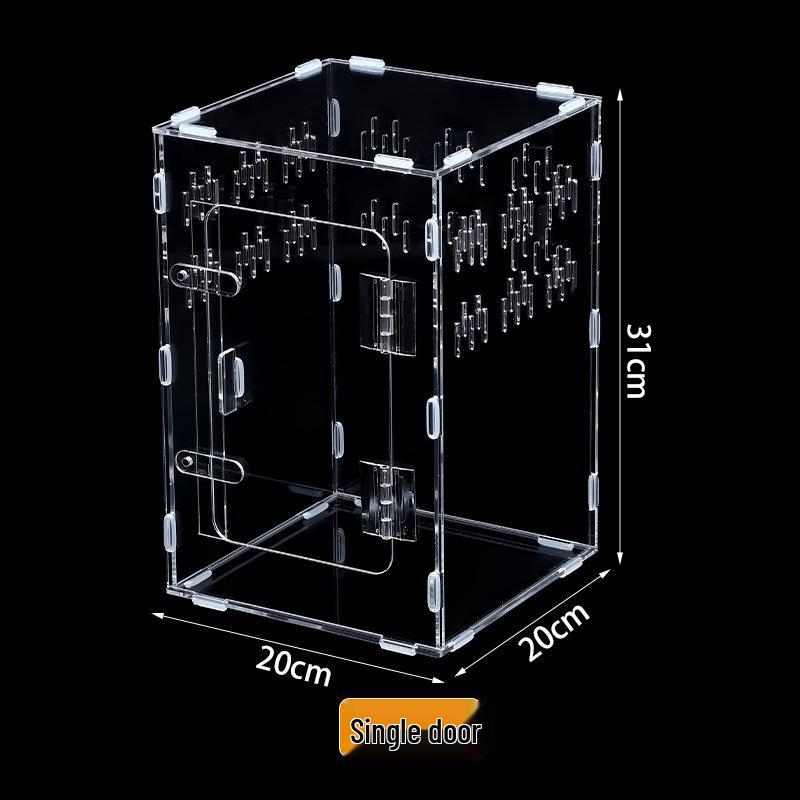 Small Acrylic Reptile Habitat: Transparent Observation Box for Spider, Lizard, Mantis, and Rainforest Landscape
