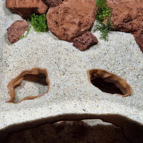 Aquarium Tunnel Cave Egyptian Pharaoh Under Gravel Tunnel Small Fish And Shrimp Hideout with Viewing Ports for Betta Pleco Shrimp Tank Decor