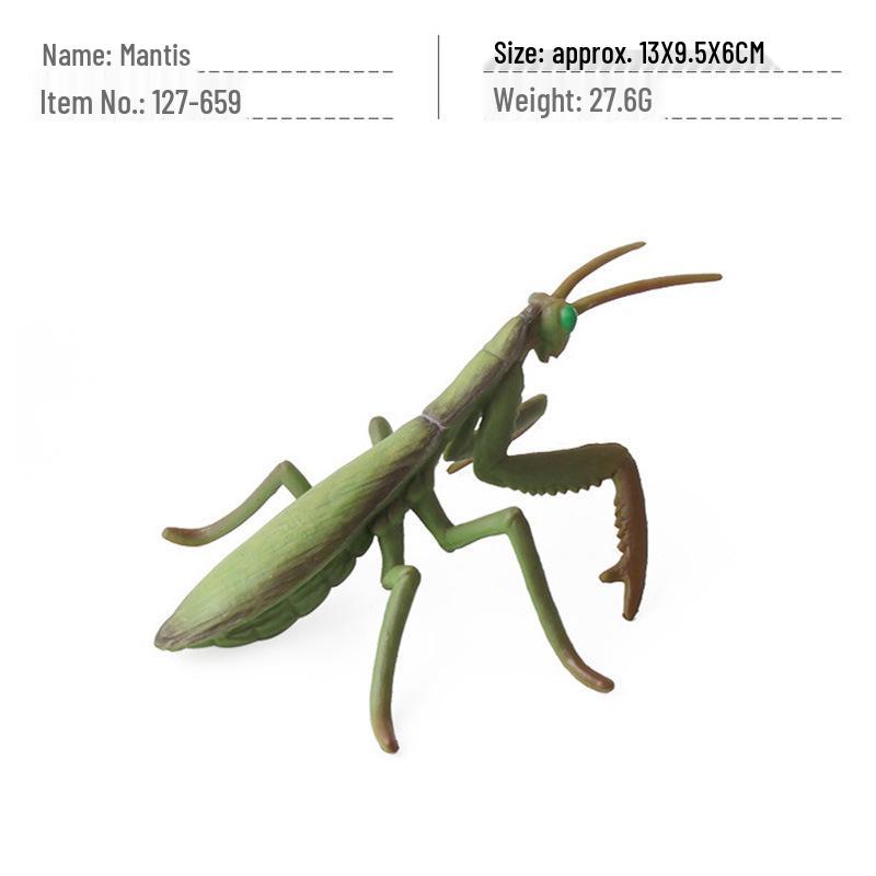 Cross-Border Children's Cognitive Insect Model Toy Set