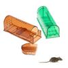 No-Kill Mouse & Rat Trap Cage (1Pc) - Reusable Humane Rodent Catcher, Safe for Pets, Ideal for Animal-Friendly Home Control
