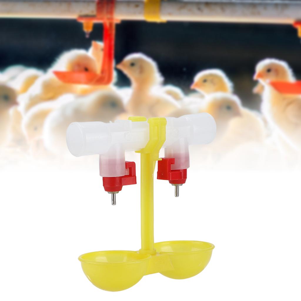 Doppelte Hühnernippeltränke, automatische hängende Trinkbecher für Geflügel, 1/2 Zoll Rohr