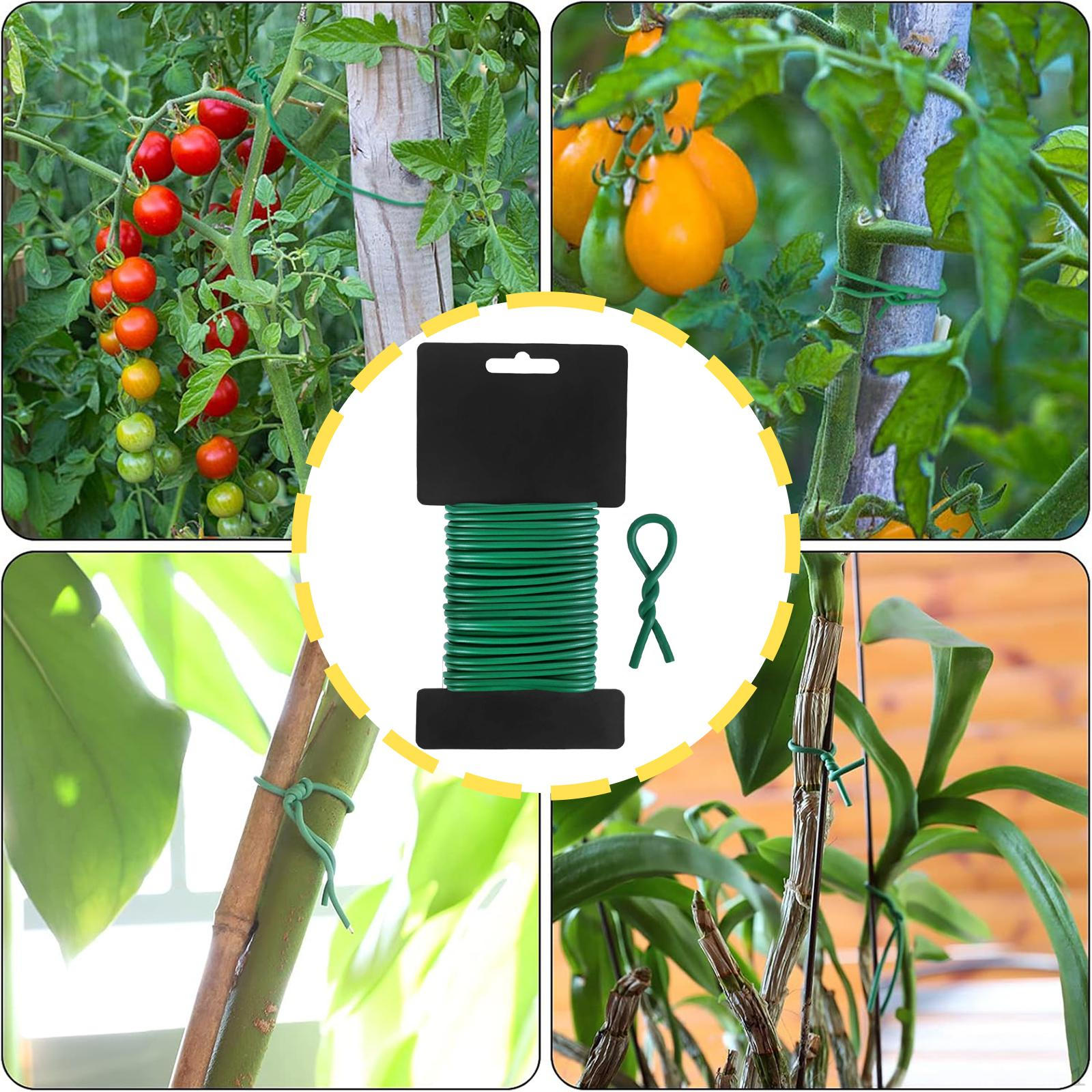 

Садовая стяжка для поддержки растений, гибкая проволока для организации овощей в помещении и на открытом воздухе 2.5mmx10m