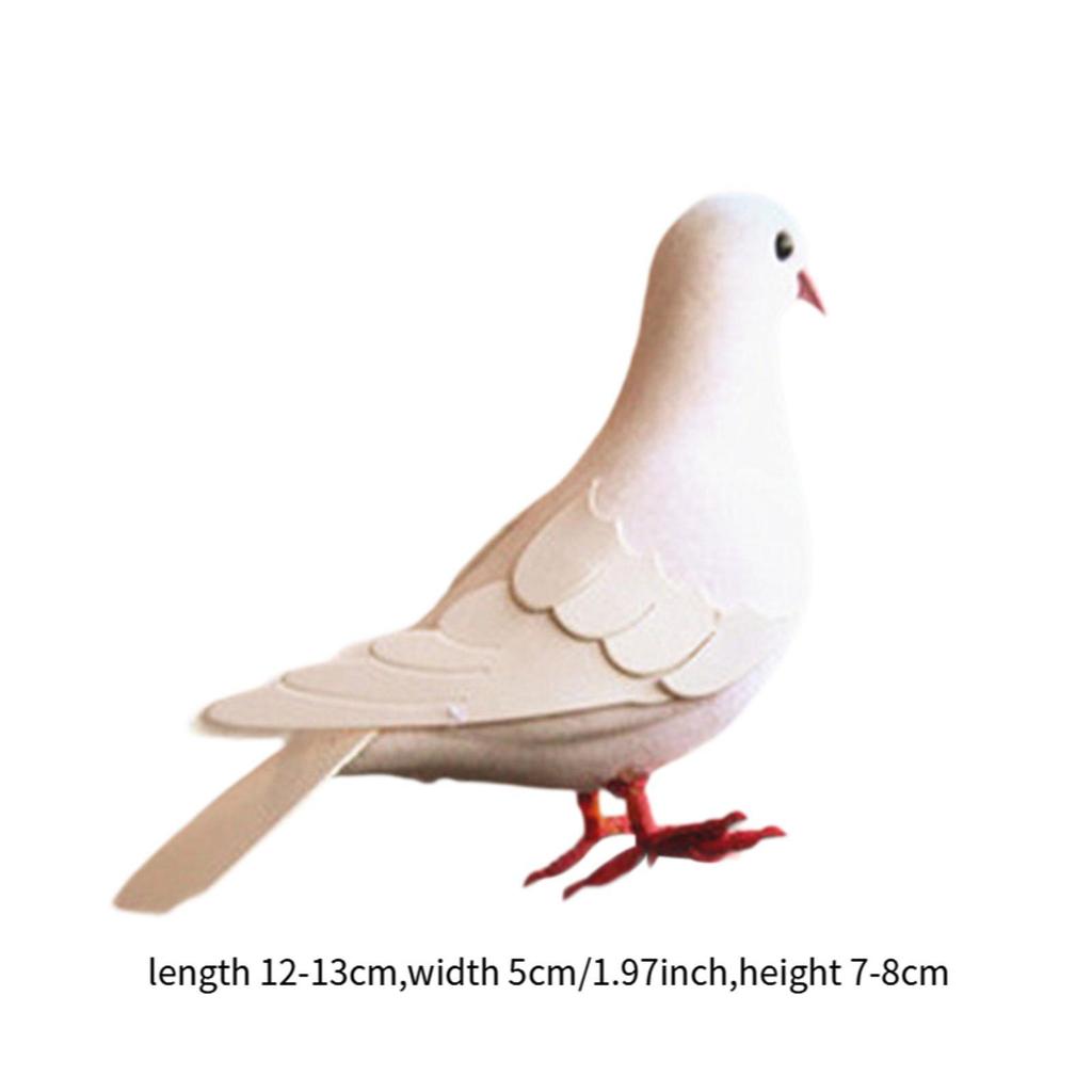 Schaumstoff-Taubenmodell für Ausstellungen, Taubenreplikat für den Bildungsgebrauch