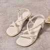 Beautiful sandals women's 2025 summer new outer wear fairy style thick heel French small high heels women's shoes