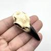 Collana con Teschio di Corvo in Resina Gotica: Gioiello Ciondolo Teschio di Uccello Regalo