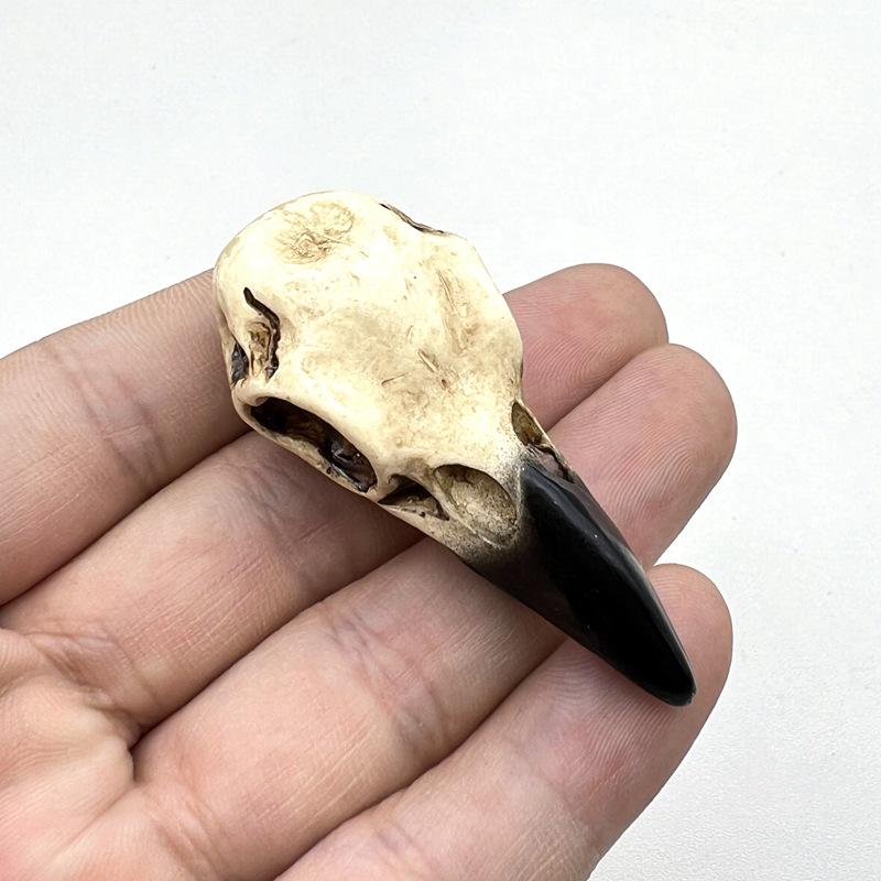 Collana con Teschio di Corvo in Resina Gotica: Gioiello Ciondolo Teschio di Uccello Regalo