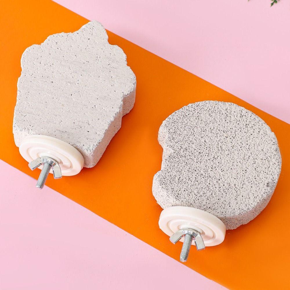 Pumice Bird Perch Stand Claw Grinding Bird Resting Platform Sturdy Parrot Stand Board  Lovebirds