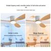 Nordic Silent Ceiling Fan Light for Home, Restaurant, and Commercial Use