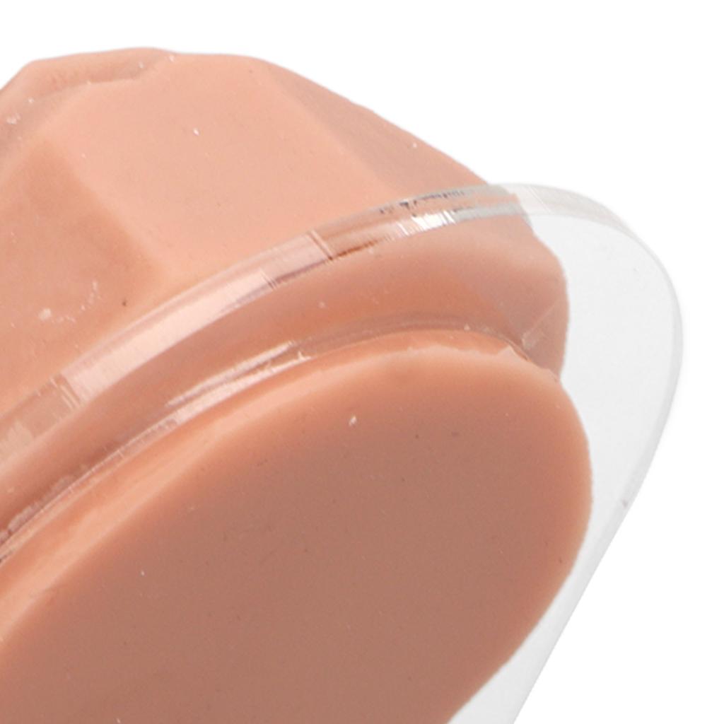Modelo de lengua humana, silicona suave, soporte acrílico realista, modelo de boca para exhibición de joyería