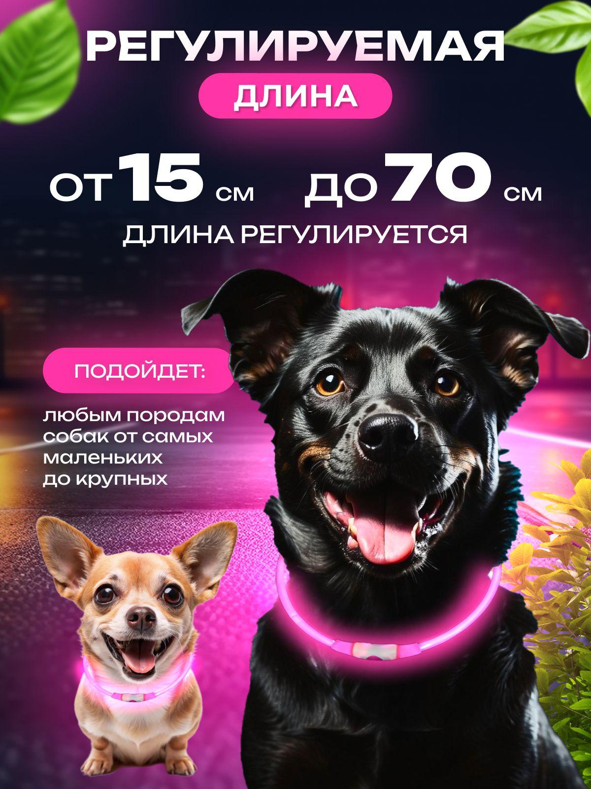 

Glowing Dog Collar Pet Collar One Size