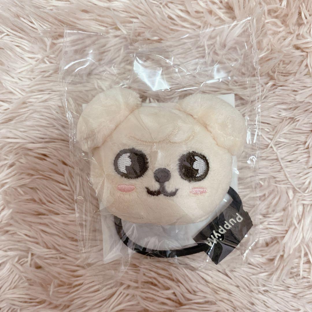 

[USED] Stray Kids SKZOO Seungmin Papim Hair Tie