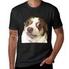 Mr.Bubz Funny Dog Meme T-Shirt for a Boy Shirts Graphic Tees Blanks Plain T Shirts Men