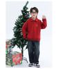 Boys' Red Fleece Hoodie - 2025 Autumn/Winter Zodiac Year of the Horse Outfit for Middle/Big Kids