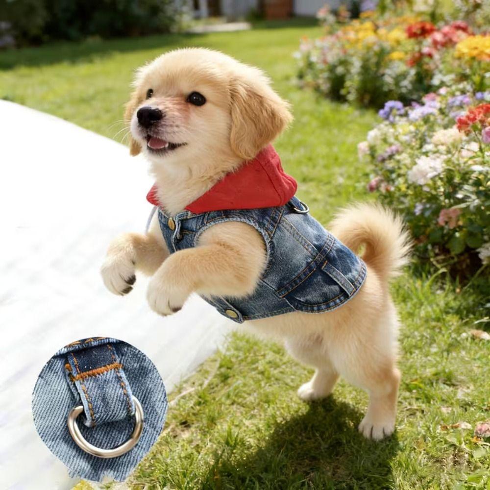 Cool Spring Dog Hoodies with D-Ring Puppy Harness Coat Dog Jean Jacket Vest For Small Medium Dogs