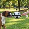Dog Football - EDEN - Matchball - 20 Cm - Integrated Rope - Durable Rubber