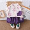 Casual Boys Short Sleeve Clothing Sets Fashion Solid Color Children Shirt With Matching Bottoms For Kids Outdoor Activities