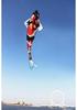 Large Chinese Style 3-Meter Koi Carp Kite with Long Tail - Easy to Fly in Light Breeze