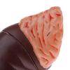 Kidney Model Anatomy Normal Human Anatomical Teaching Doctors Office Educational Tool