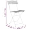 319987 vidaXL Bistro Chairs Folding 2pcs Brown Woven Resin and Steel