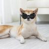 Dog Goggles for Medium Small Dog Waterproof Dog Sunglasses Windproof Goggles Adjust Pet Goggles