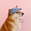 Pet Hat Dog Sun Hat Sunscreen Baseball Cap with Ear Holes for Small Medium Large Dogs Outdoor Sports Cosplay Party Photos