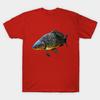 Unisex Fashion TShirt Carp Print TShirt Plus Size XS-6XL T-Shirt 100%Cotton Tops O Neck Short Sleeve Tees