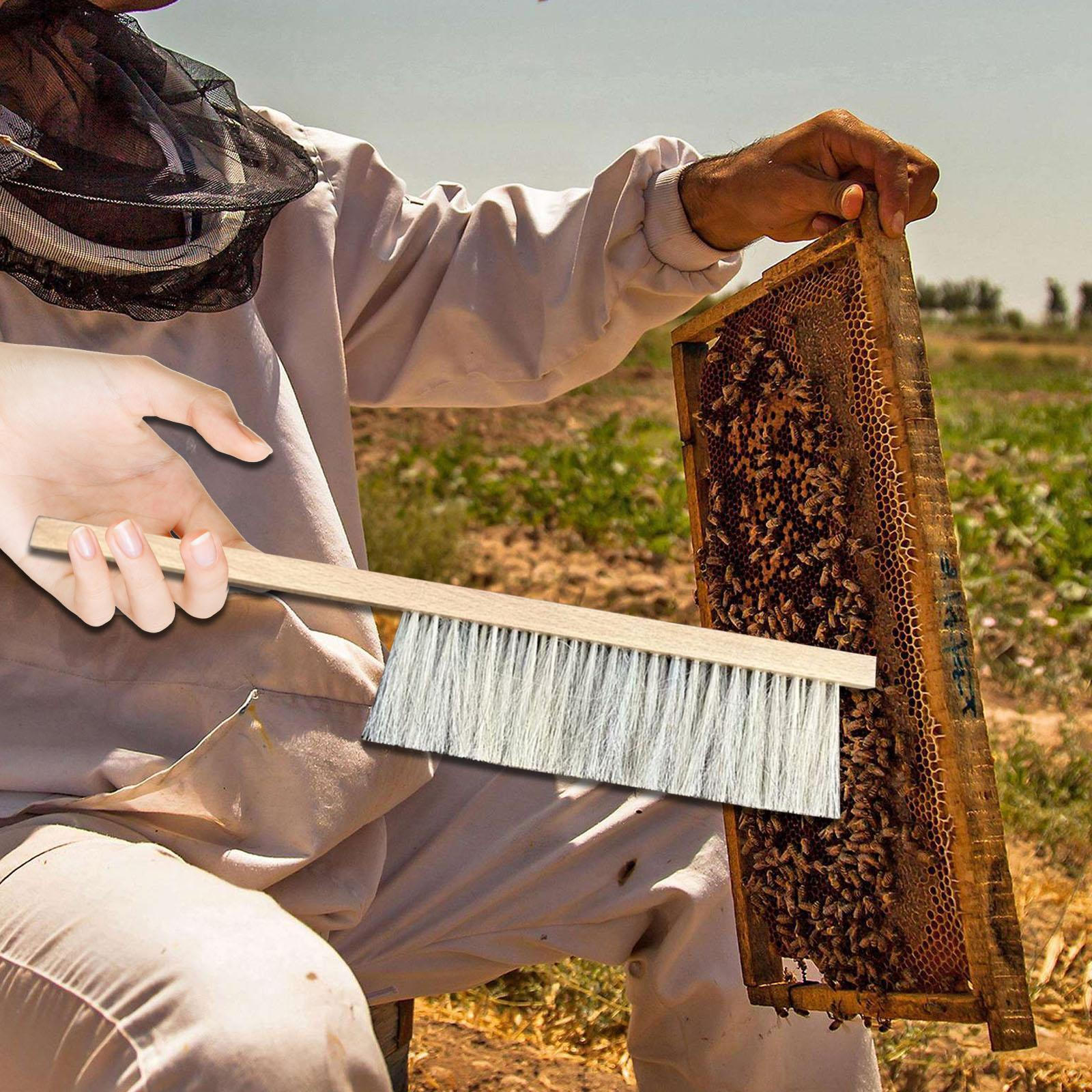 

Щетка для улья для пчеловодов с деревянной ручкой, инструмент для подметания пчел A