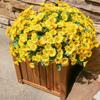Artificial Flower Door Basket Wreath Cascading Green Leaves Branches Realistic Look UV Resistant Faux Flower Home Decor