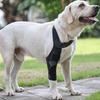 Joelheira para Cão Perna Traseira com Tira de Fixação Resistente ao Desgaste Ultraleve Ajustável Joelheira ACL Perna Traseira para Cão Suprimentos para Animais de Estimação