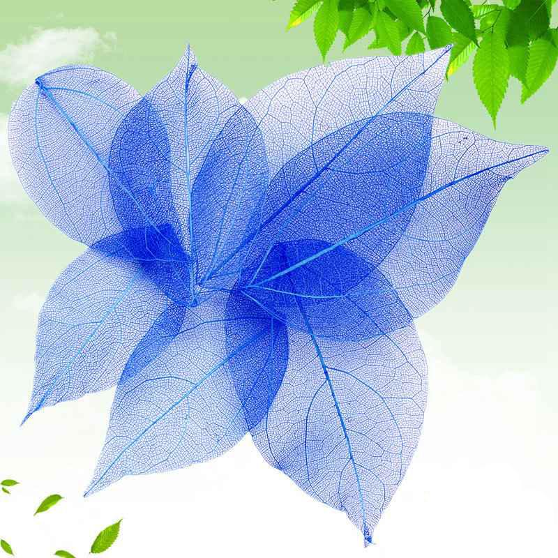 

Тиснение 30 шт. Сухоцветы Чехол для телефона DIY Орнамент Аксессуары Ручная работа Материал Натуральный Алмаз Вены Изготовление Тиснение 4-9cm синий