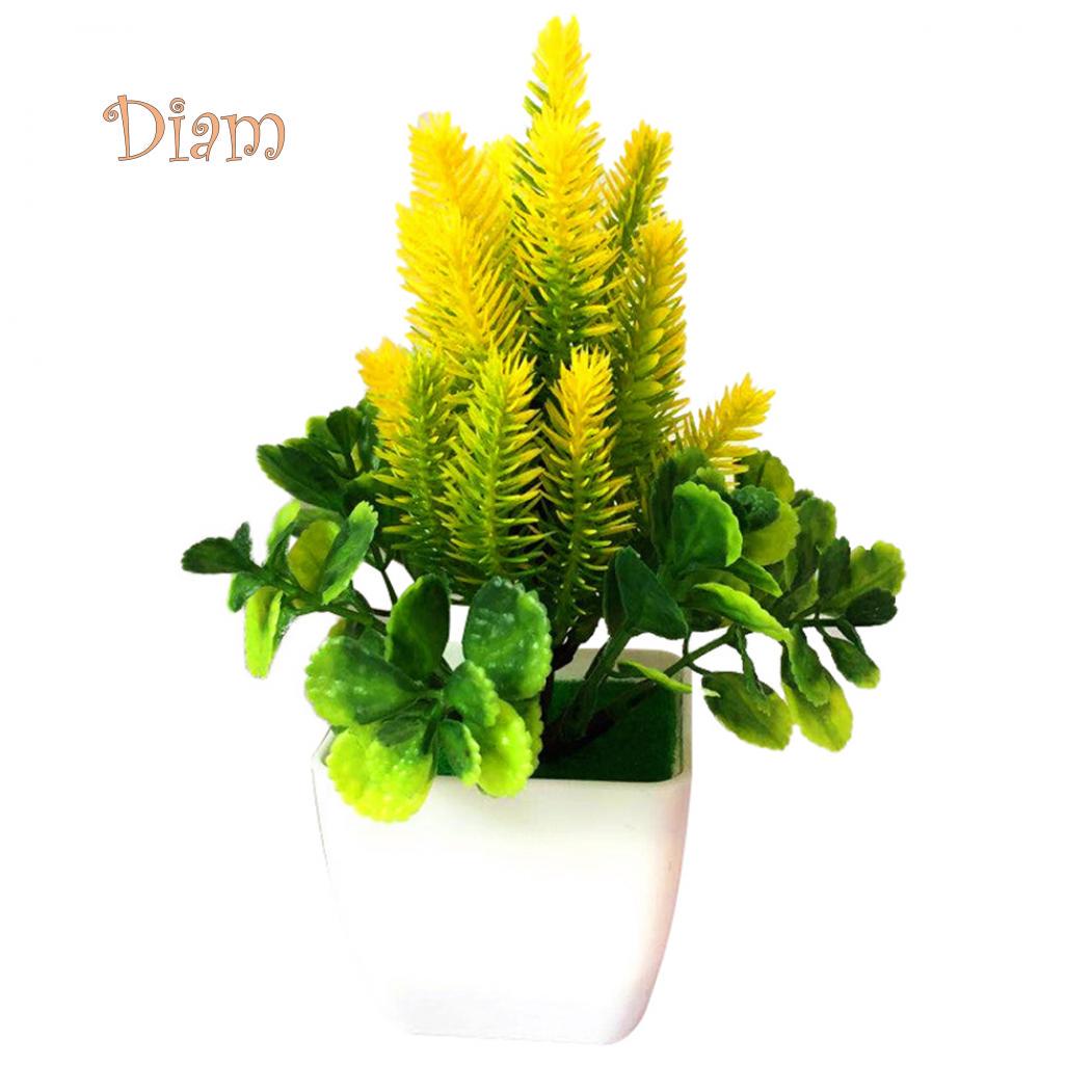 

Цветочная трава в горшке жёлтый