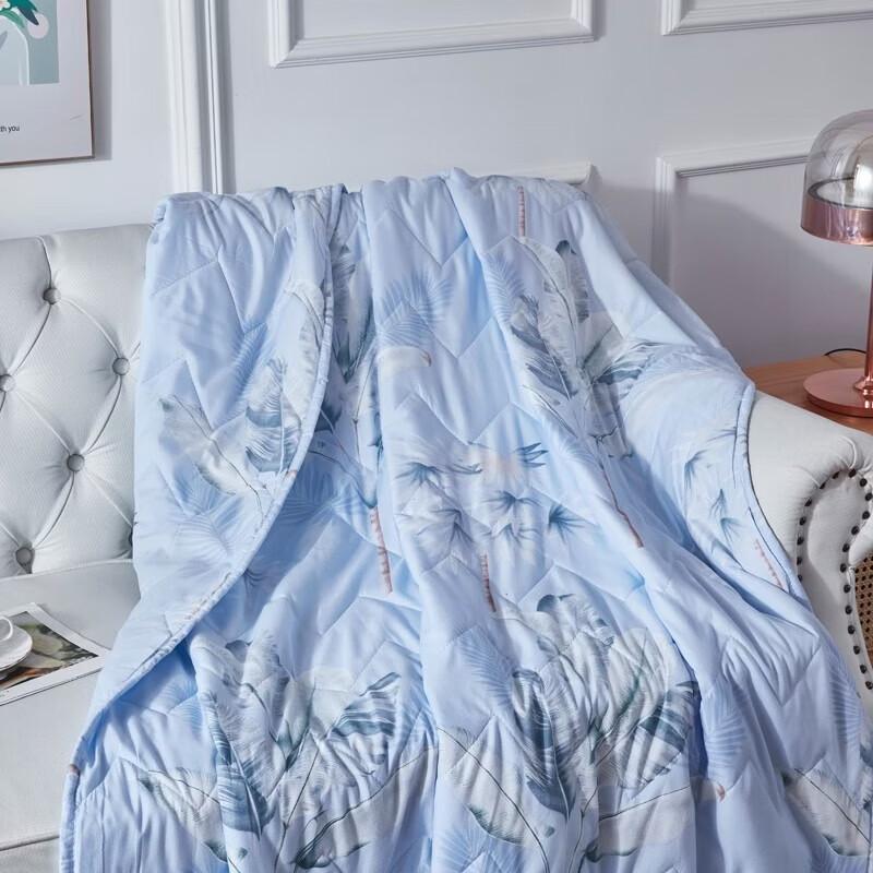 Donald Home Textiles Premium Brushed Summer Quilt
