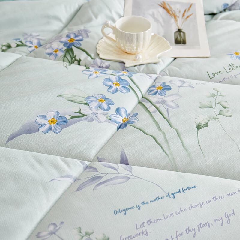 Begamann Fresh Floral Lavender Soy Fiber Warm Quilt