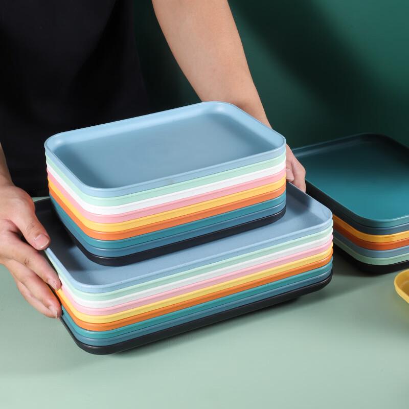 Simple Rectangular Plastic Serving Tray