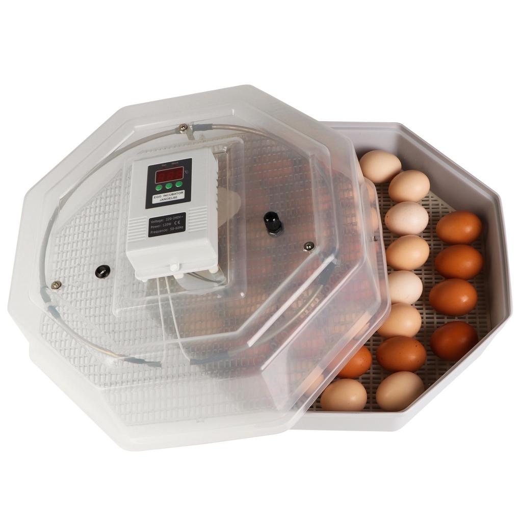 Kruger Meier Prolexor 60 Egg Incubator with Automatic Thermostat