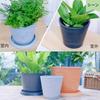 GreenShip Blume Naturkunststoff Abtropfschale Sehr preiswert beim Kauf als Versand am selben Tag aus Osaka Leicht und langlebig Groß
