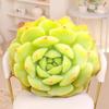 Cuscino Peluche Succulenta Stile Ins - Cuscino Creativo per Ufficio & Regalo