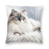 Ragdoll Cat On Fur Rug Square Pillowcase Polyester Linen Velvet Printed Zip Decorative Pillow Case Sofa Cushion Cover x