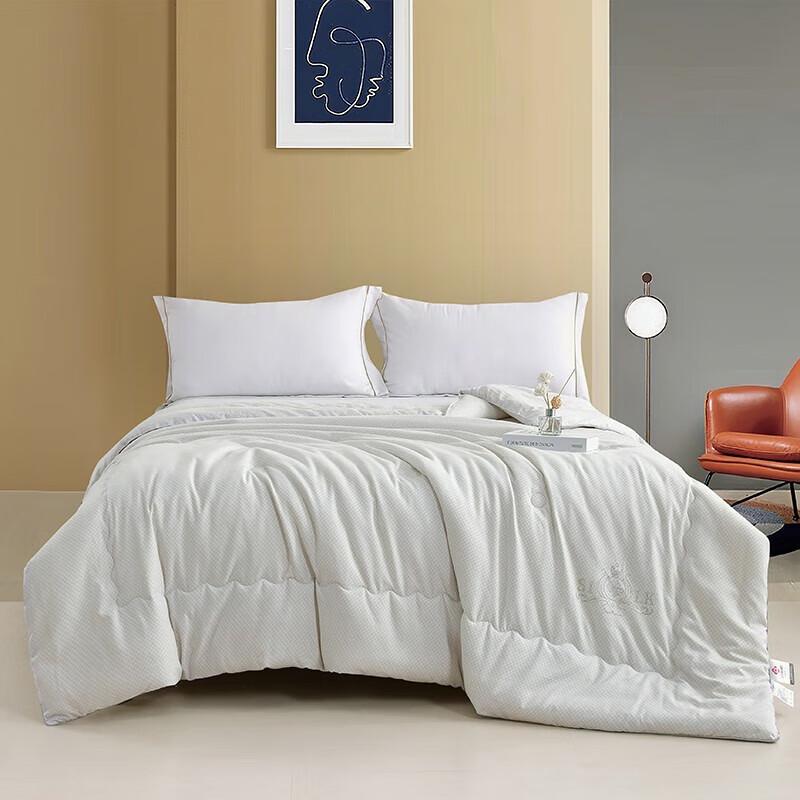 

Grace Dove Velvet Fast-Heating Quilt