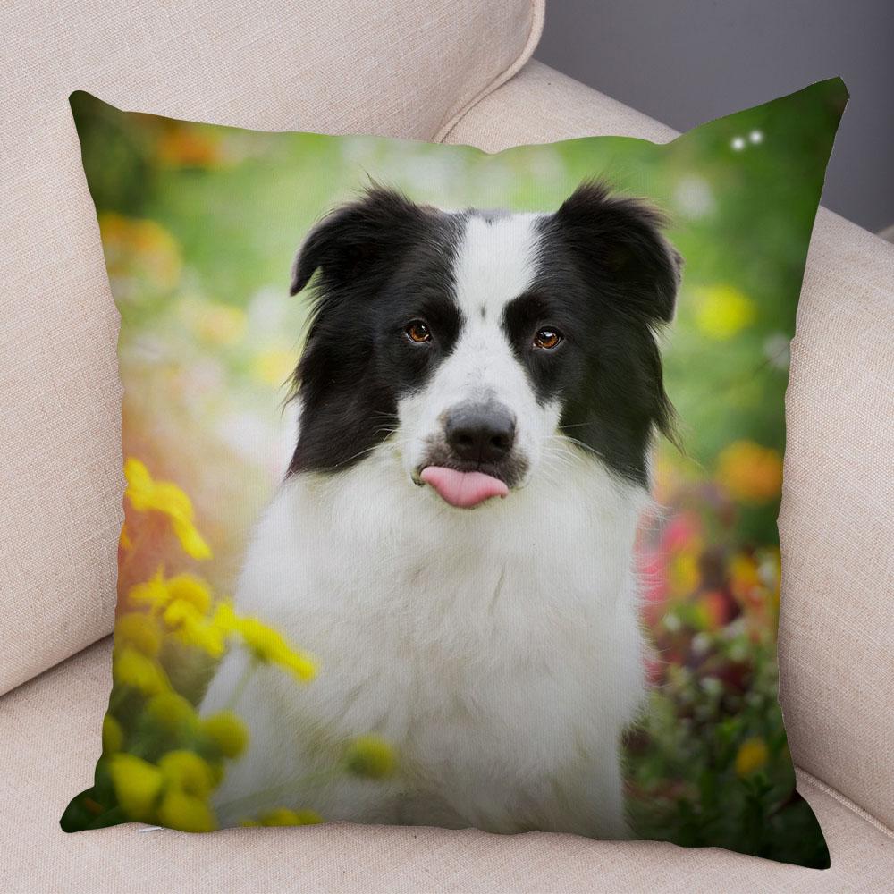 Cute Pet Animal Dog Print Pillowcase Scottish Border Collie Cushion Cover  Sofa Car Decoration