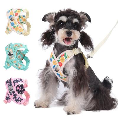 Perros – Collares y correas