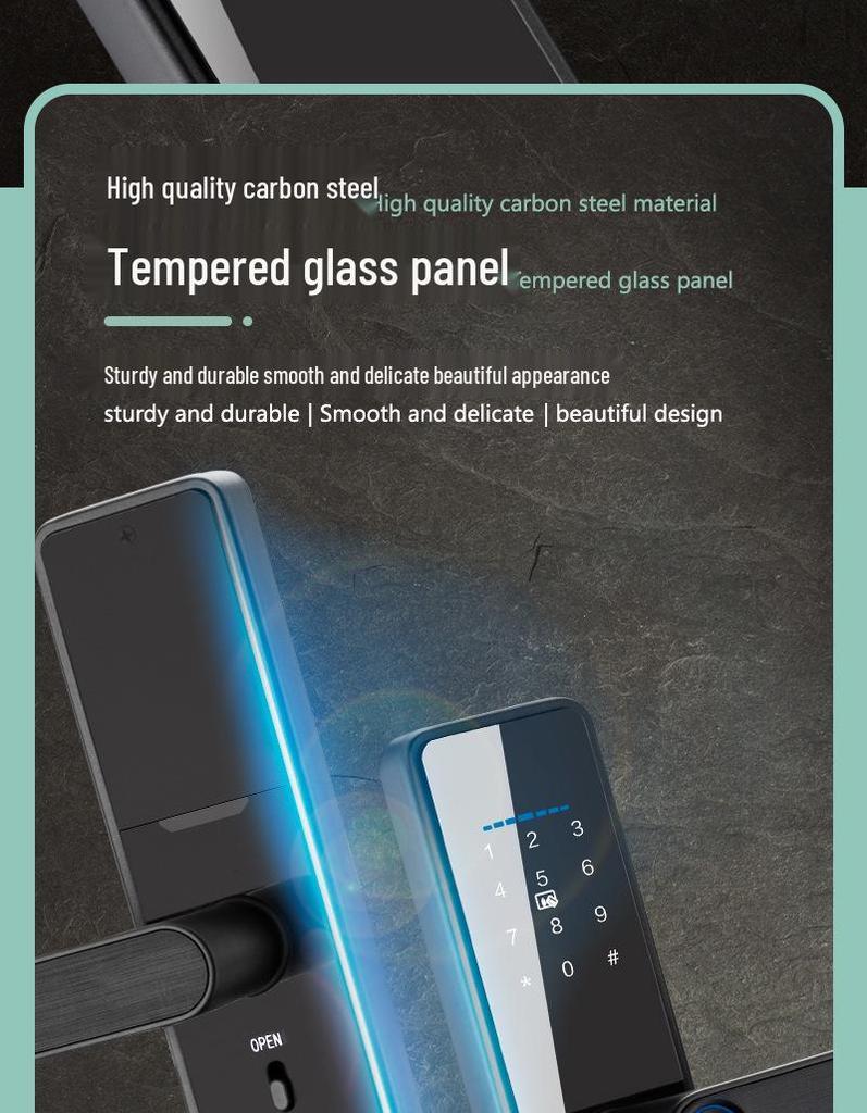 Smart Bluetooth Fingerprint Door Lock with WiFi and Password for Apartments and Homestays